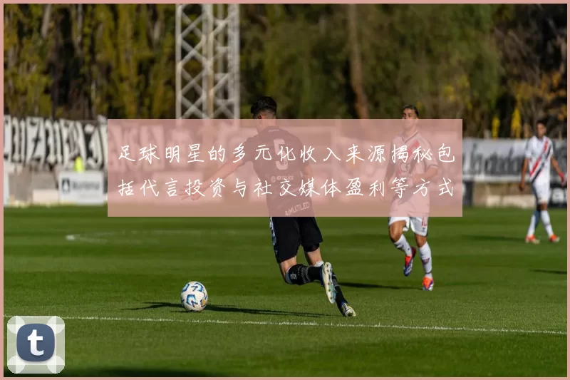 足球明星的多元化收入来源揭秘包括代言投资与社交媒体盈利等方式