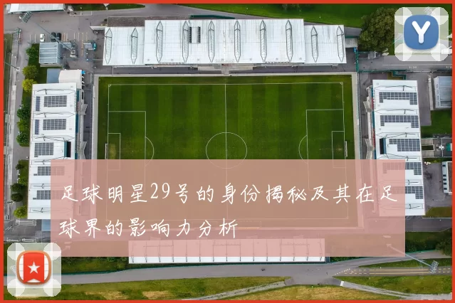 足球明星29号的身份揭秘及其在足球界的影响力分析