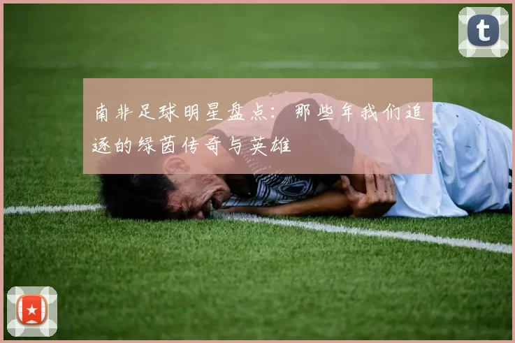 南非足球明星盘点：那些年我们追逐的绿茵传奇与英雄