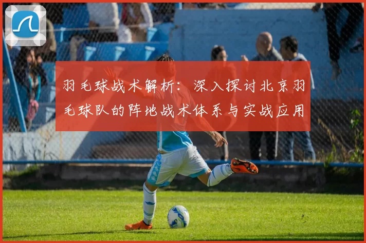 羽毛球战术解析：深入探讨北京羽毛球队的阵地战术体系与实战应用