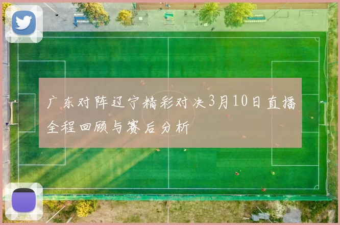 广东对阵辽宁精彩对决3月10日直播全程回顾与赛后分析