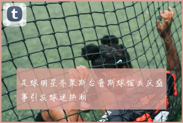 足球明星齐聚斯台普斯球馆共庆盛事引发球迷热潮
