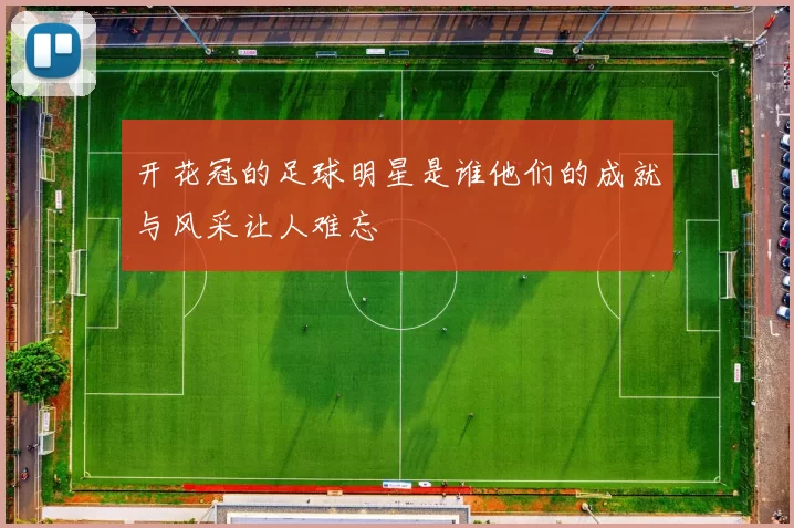 开花冠的足球明星是谁他们的成就与风采让人难忘