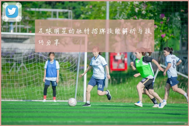 足球明星的独特招牌技能解析与技巧分享