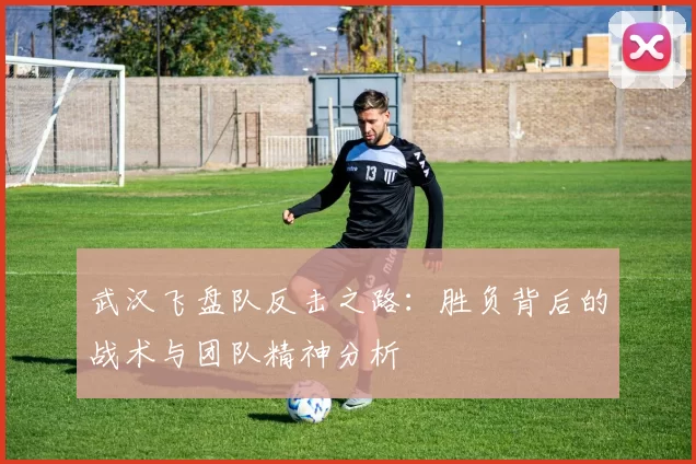 武汉飞盘队反击之路：胜负背后的战术与团队精神分析