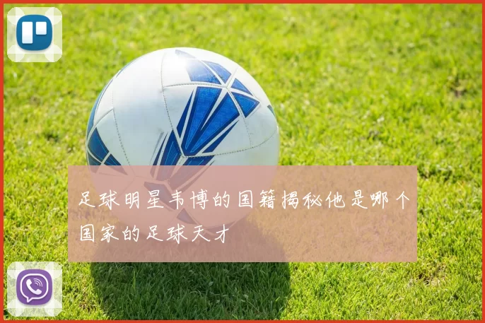 足球明星韦博的国籍揭秘他是哪个国家的足球天才
