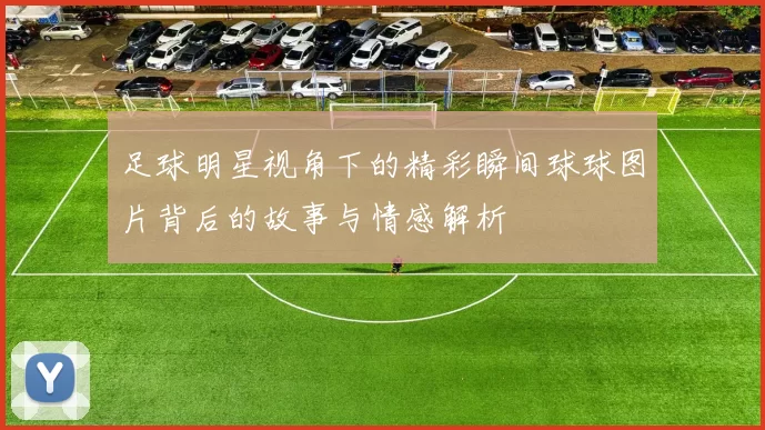 足球明星视角下的精彩瞬间球球图片背后的故事与情感解析
