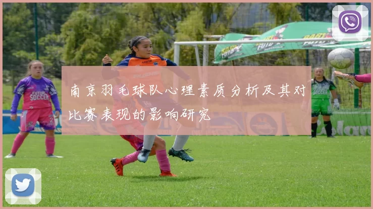 南京羽毛球队心理素质分析及其对比赛表现的影响研究