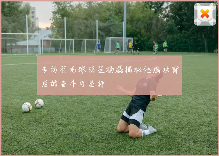 专访羽毛球明星杨磊揭秘他成功背后的奋斗与坚持