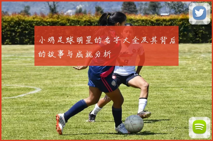 小鸡足球明星的名字大全及其背后的故事与成就分析