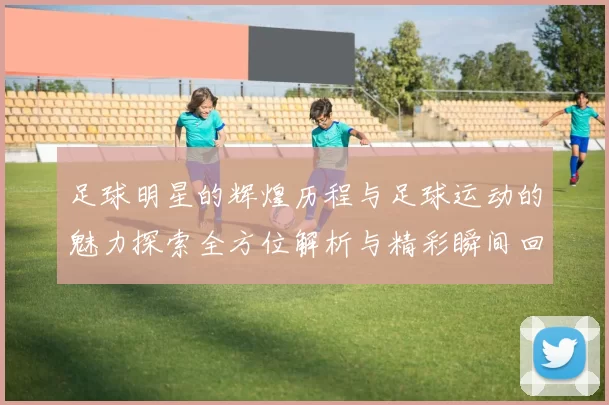足球明星的辉煌历程与足球运动的魅力探索全方位解析与精彩瞬间回顾