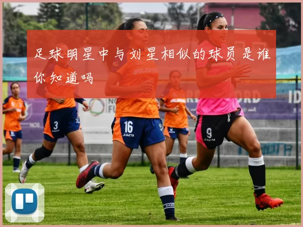 足球明星中与刘星相似的球员是谁你知道吗