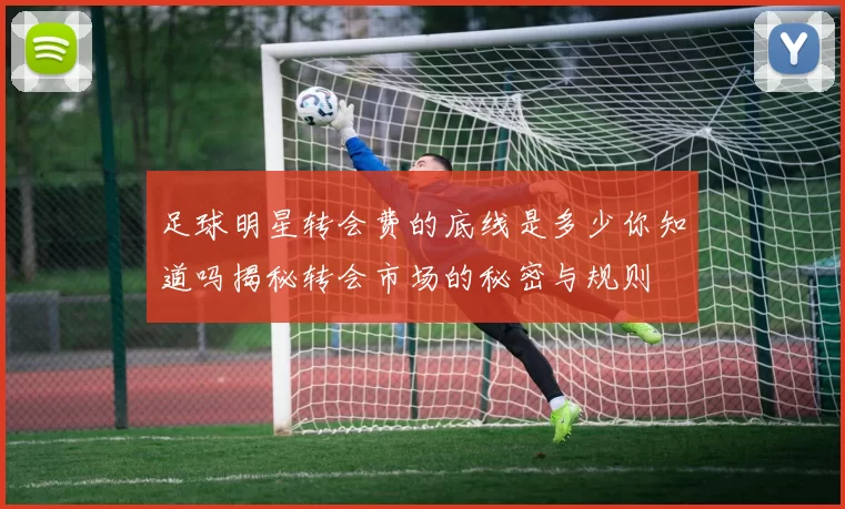 足球明星转会费的底线是多少你知道吗揭秘转会市场的秘密与规则