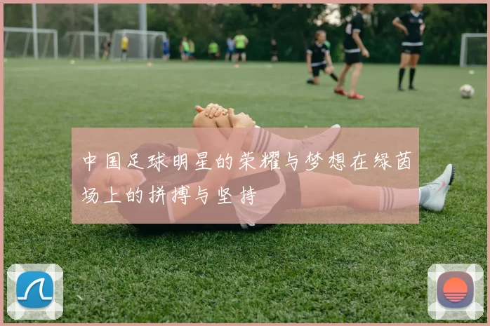 中国足球明星的荣耀与梦想在绿茵场上的拼搏与坚持