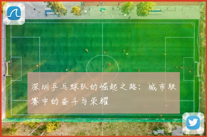 深圳乒乓球队的崛起之路：城市联赛中的奋斗与荣耀