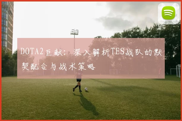 DOTA2巨献：深入解析TES战队的默契配合与战术策略