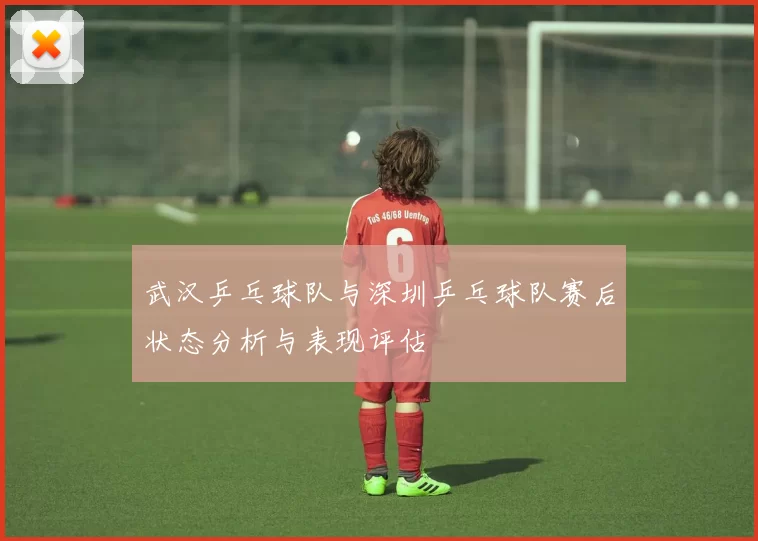 武汉乒乓球队与深圳乒乓球队赛后状态分析与表现评估