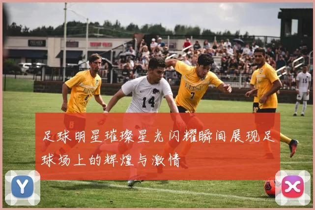 足球明星璀璨星光闪耀瞬间展现足球场上的辉煌与激情