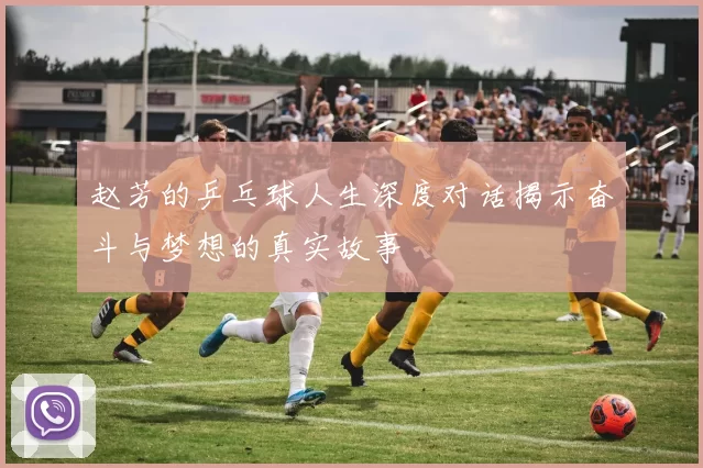 赵芳的乒乓球人生深度对话揭示奋斗与梦想的真实故事