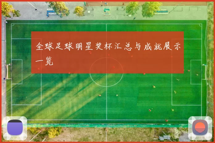 全球足球明星奖杯汇总与成就展示一览